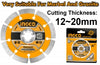DISCO DIAMANTADO SEGMENTADO INGCO 180(7")X22.2 MM # DMD011801(OF)