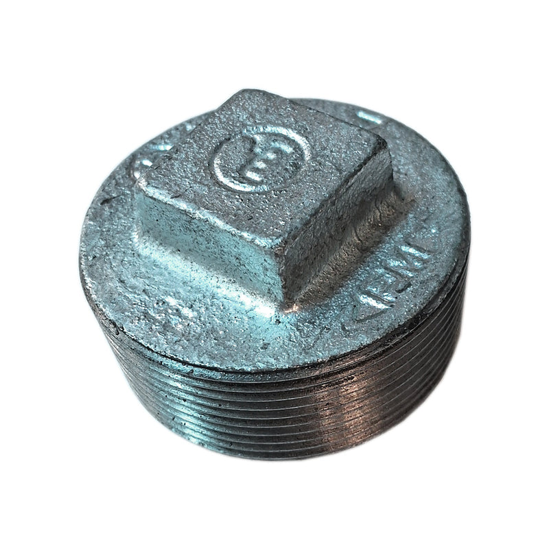 TAPA TORNILLO GALV- 2" (ISO 5922 - 150 LBS) C