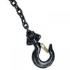TECLE MANUAL DE CADENA 500 kg TRC90051